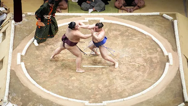 Украинский самурай против японского бульдозера: Аонишики идет за титулом, пока конкуренты хитрят и ломаются