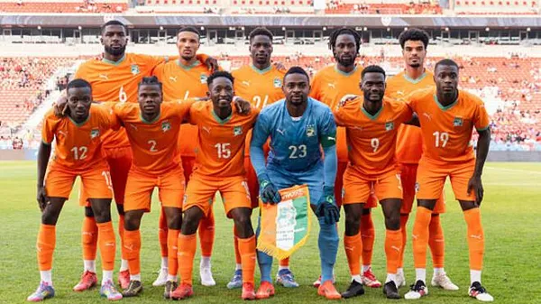 Африканська спека під ялинку: слони проти мамб та битва невгамовних левів на Кубку Націй