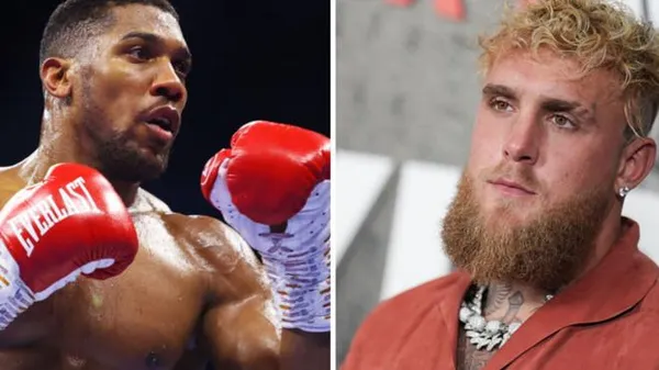 Гроші не пахнуть: Джошуа отримає $50 млн, а блогер Пол – вдвічі більше. Ласкаво просимо у новий бокс